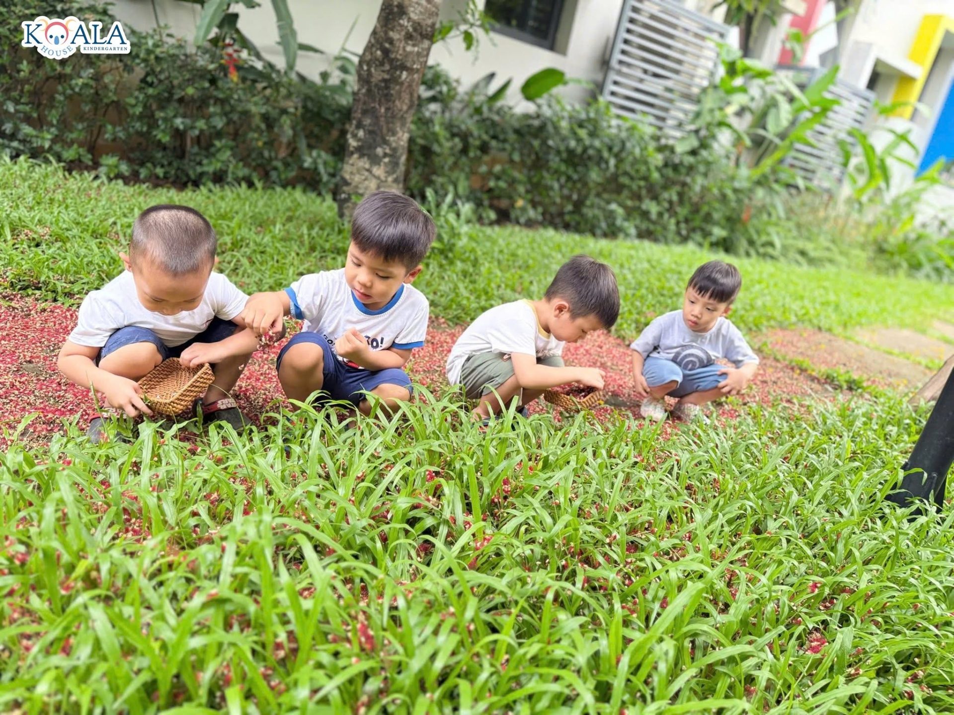 Tham quan dã ngoại